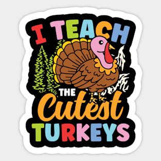 I Teach The Cutest Turkeys - Teacher Sticker